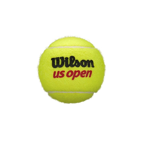 US OPEN XD TBALL 3 BALL CAN